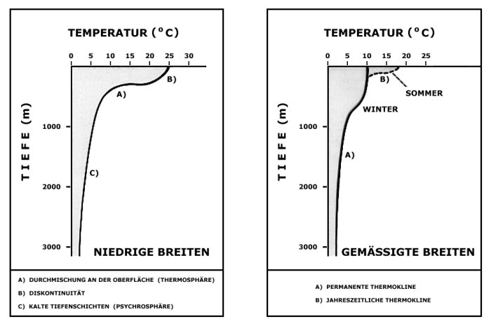 Thermoklinen in niedrigen und in gemäßigten Breiten